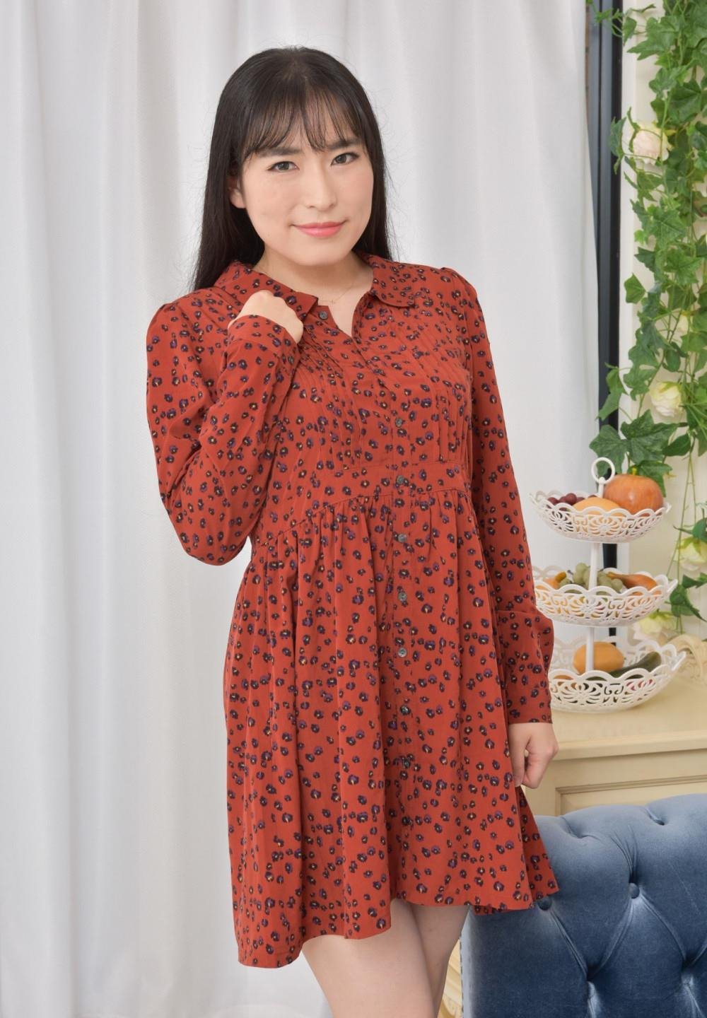 ���������Ĳ�����