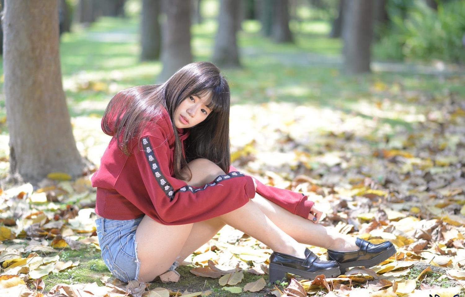 ������ý