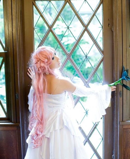 ������Ƶ